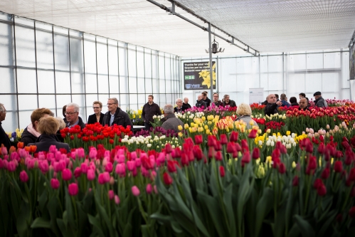 VWS Flowerbulbs at Tulip Trade Event